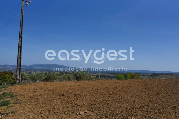 Terreno para Venda em Reguengo Grande Foto 8