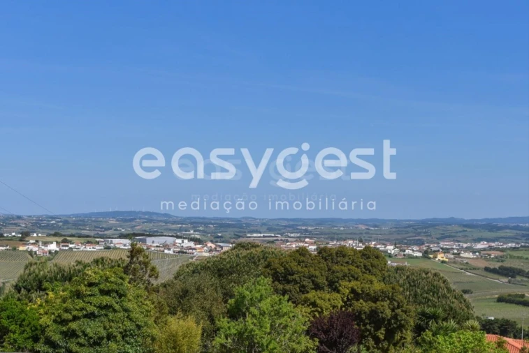 Terreno para Venda em Reguengo Grande Foto 12