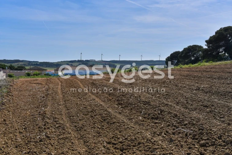 Terreno para Venda em Reguengo Grande Foto 15