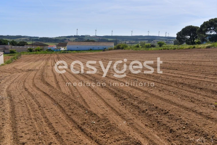 Terreno para Venda em Reguengo Grande Foto 18