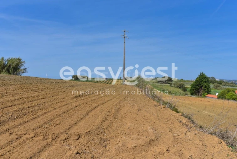 Terreno para Venda em Reguengo Grande Foto 19