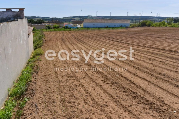 Terreno para Venda em Reguengo Grande Foto 21
