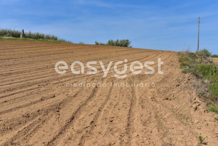 Terreno para Venda em Reguengo Grande Foto 22