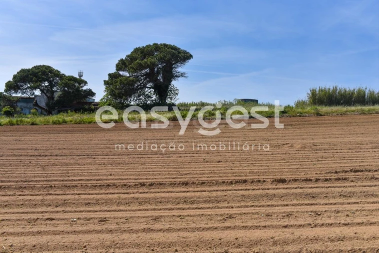 Terreno para Venda em Reguengo Grande Foto 23