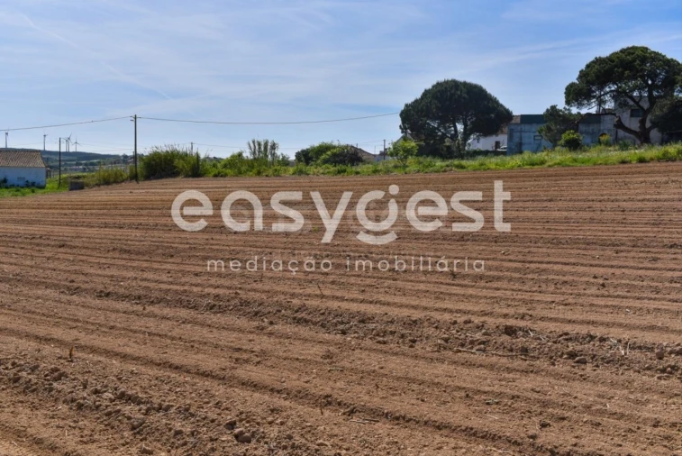 Terreno para Venda em Reguengo Grande Foto 24