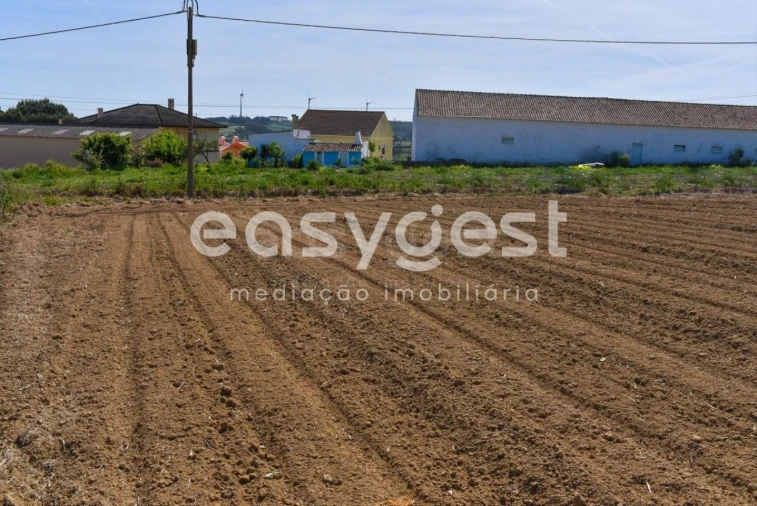 Terreno para Venda em Reguengo Grande Foto 25