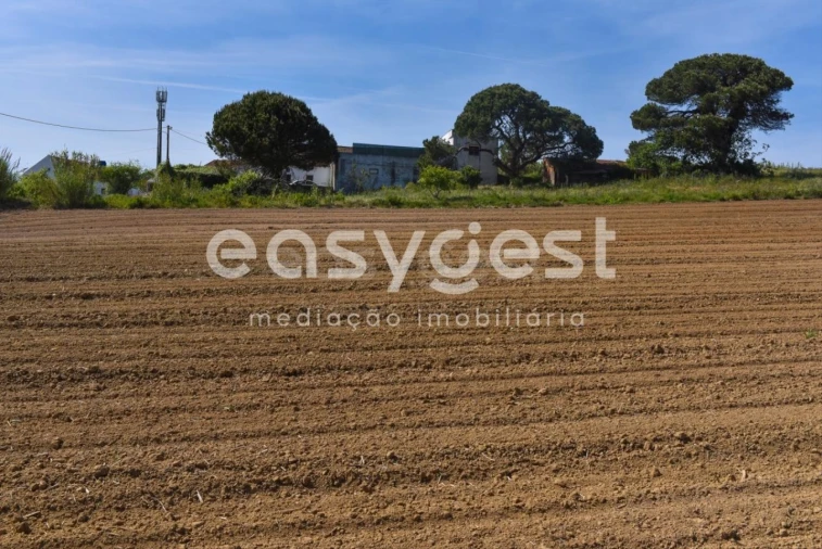 Terreno para Venda em Reguengo Grande Foto 26