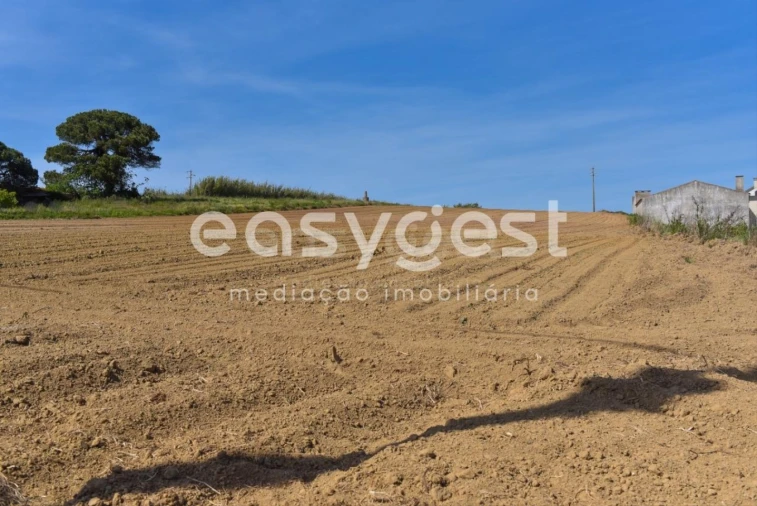Terreno para Venda em Reguengo Grande Foto 28