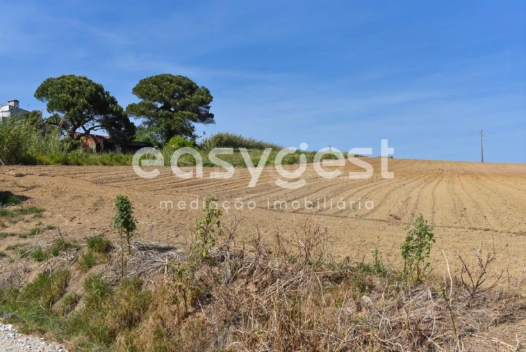 Terreno para Venda em Reguengo Grande Foto 34