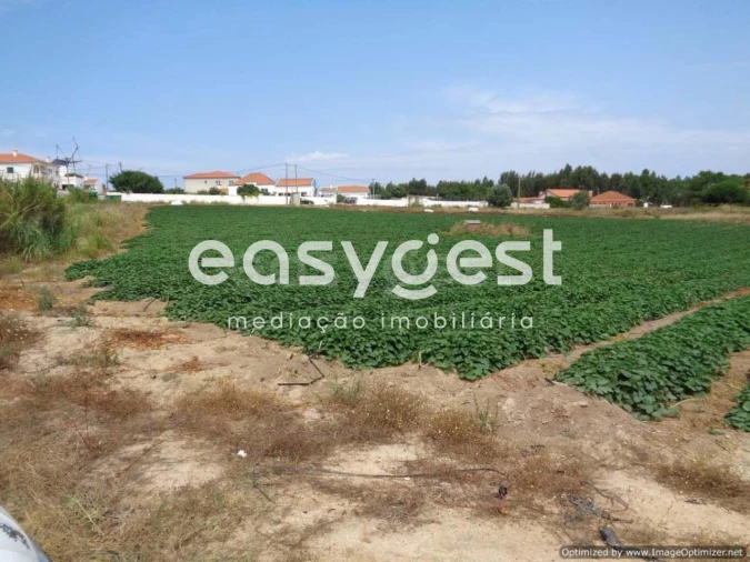 Terreno Agricola ou Rústico para Venda em Silveira Foto 3