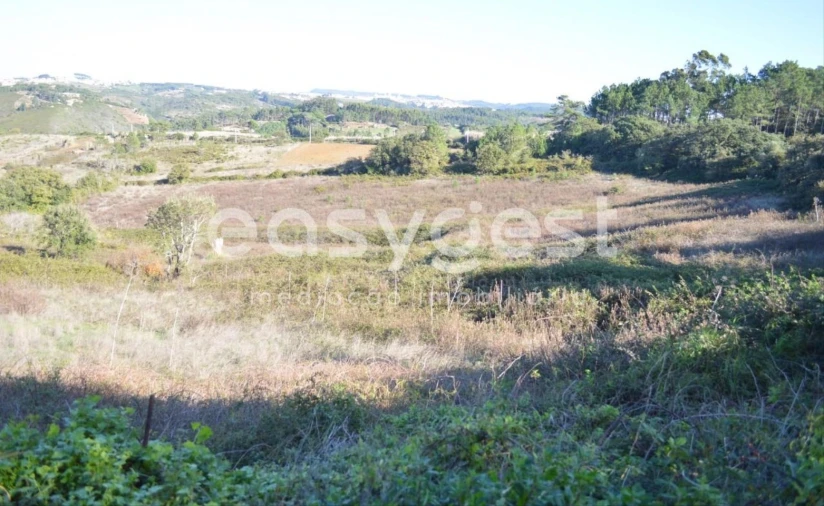 Terreno Agricola ou Rústico para Venda em Carvoeira