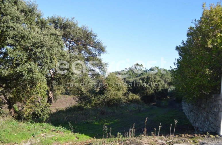 Terreno Agricola ou Rústico para Venda em Carvoeira Foto 3