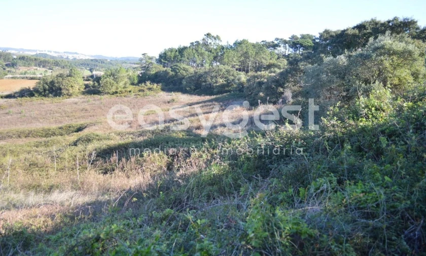 Terreno Agricola ou Rústico para Venda em Carvoeira Foto 4