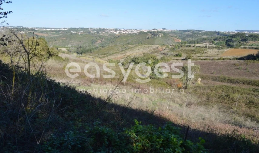 Terreno Agricola ou Rústico para Venda em Carvoeira Foto 5
