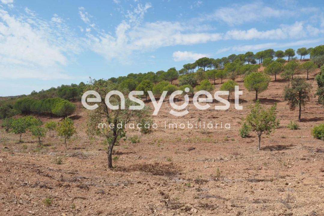 Terreno Agricola ou Rústico para Venda em Azinhal Foto 2