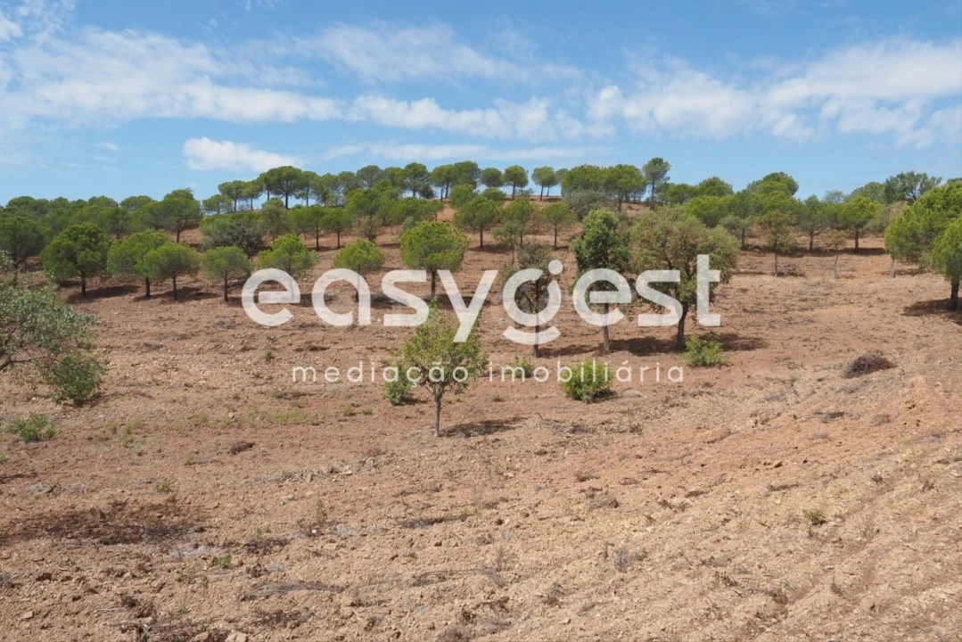 Terreno Agricola ou Rústico para Venda em Azinhal Foto 3