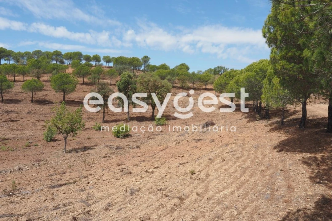 Terreno Agricola ou Rústico para Venda em Azinhal Foto 4