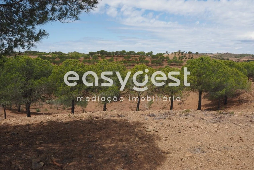 Terreno Agricola ou Rústico para Venda em Azinhal Foto 9