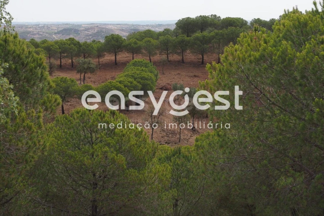 Terreno Agricola ou Rústico para Venda em Azinhal Foto 19