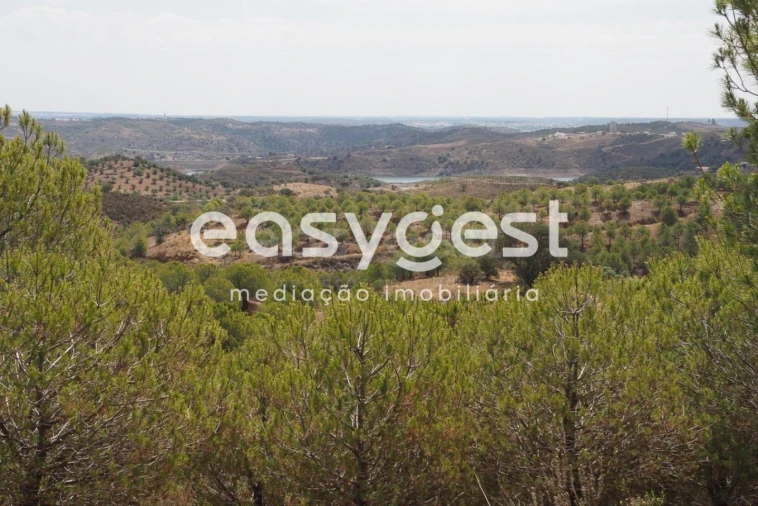 Terreno Agricola ou Rústico para Venda em Azinhal Foto 1