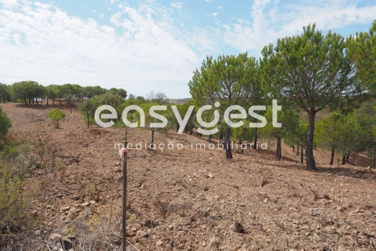Terreno Agricola ou Rústico para Venda em Azinhal Foto 5