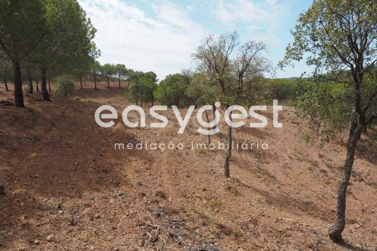 Terreno Agricola ou Rústico para Venda em Azinhal Foto 14