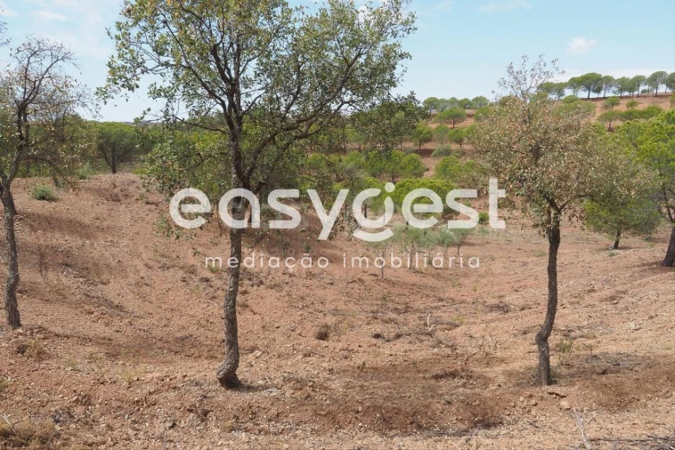 Terreno Agricola ou Rústico para Venda em Azinhal Foto 15