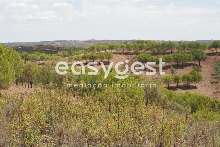 Terreno Agricola ou Rústico para Venda em Azinhal Foto 20