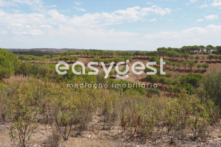 Terreno Agricola ou Rústico para Venda em Azinhal Foto 21
