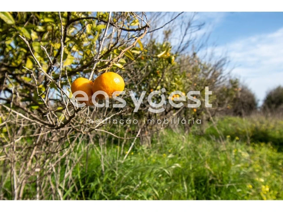 Quinta T2 para Venda em Vila Nova de Cacela Foto 17