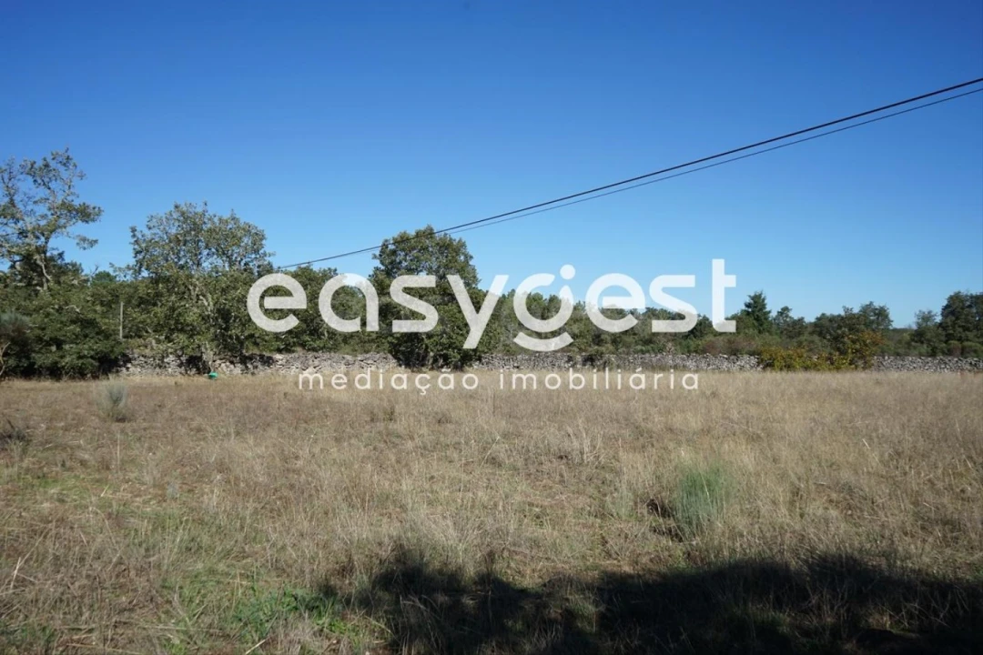 Terreno para Venda em Vila Garcia Foto 4