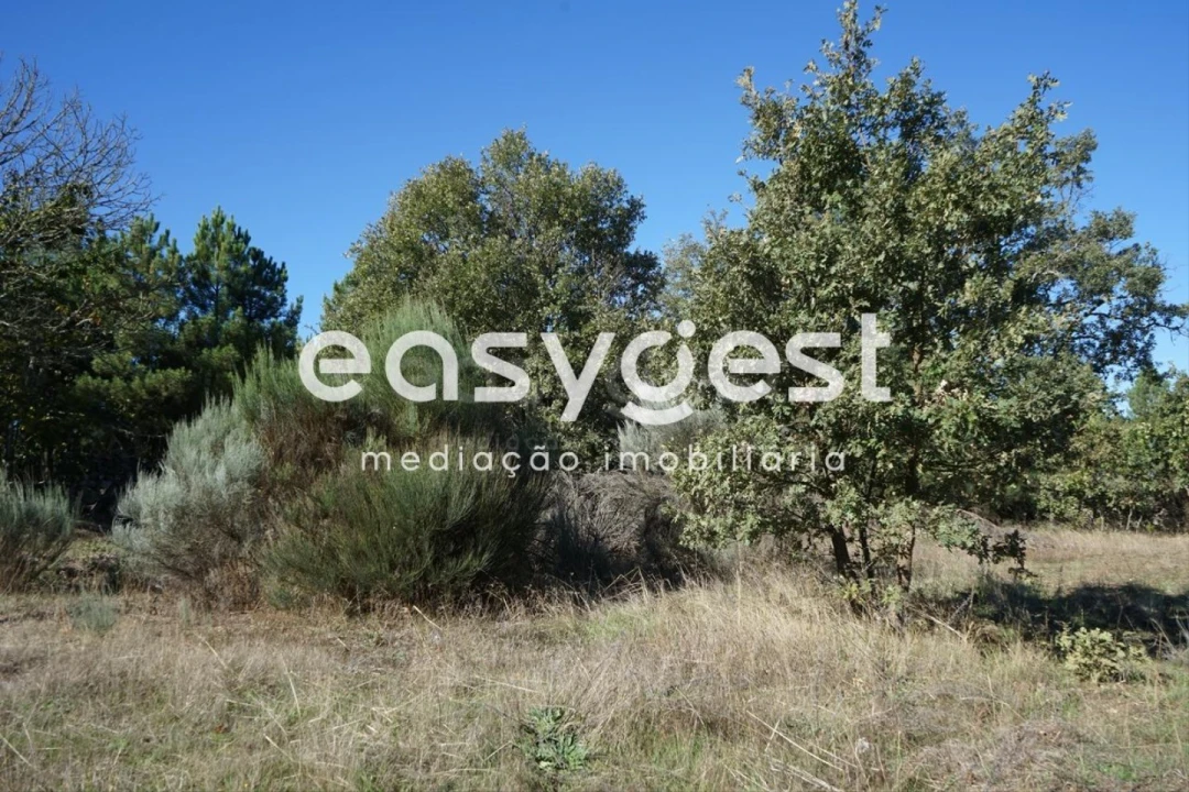 Terreno para Venda em Vila Garcia Foto 5