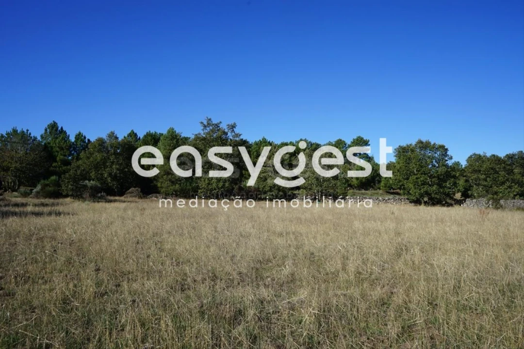 Terreno para Venda em Vila Garcia Foto 11