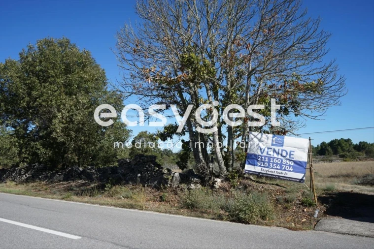 Terreno para Venda em Vila Garcia