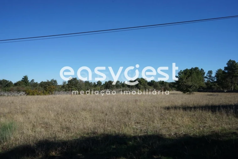 Terreno para Venda em Vila Garcia Foto 3