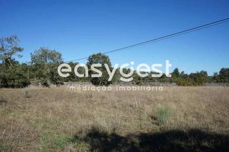 Terreno para Venda em Vila Garcia Foto 4