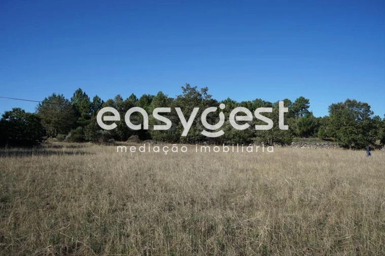 Terreno para Venda em Vila Garcia Foto 10