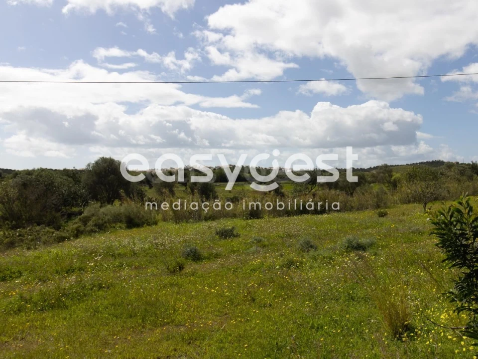 Terreno Agricola ou Rústico para Venda em Castro Marim Foto 4