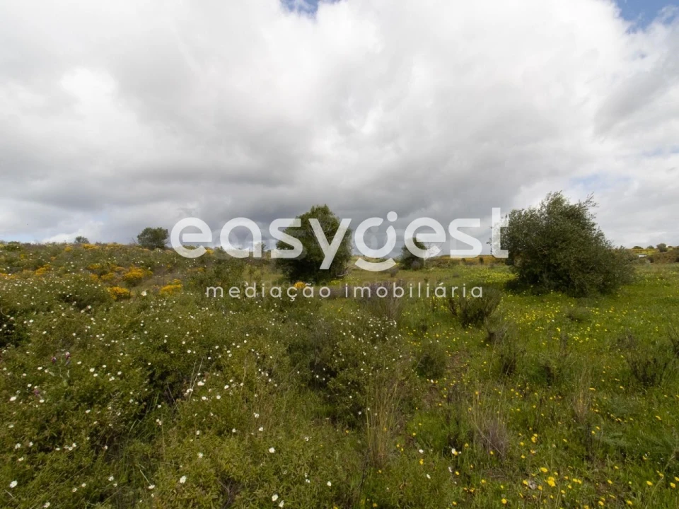 Terreno Agricola ou Rústico para Venda em Castro Marim Foto 9