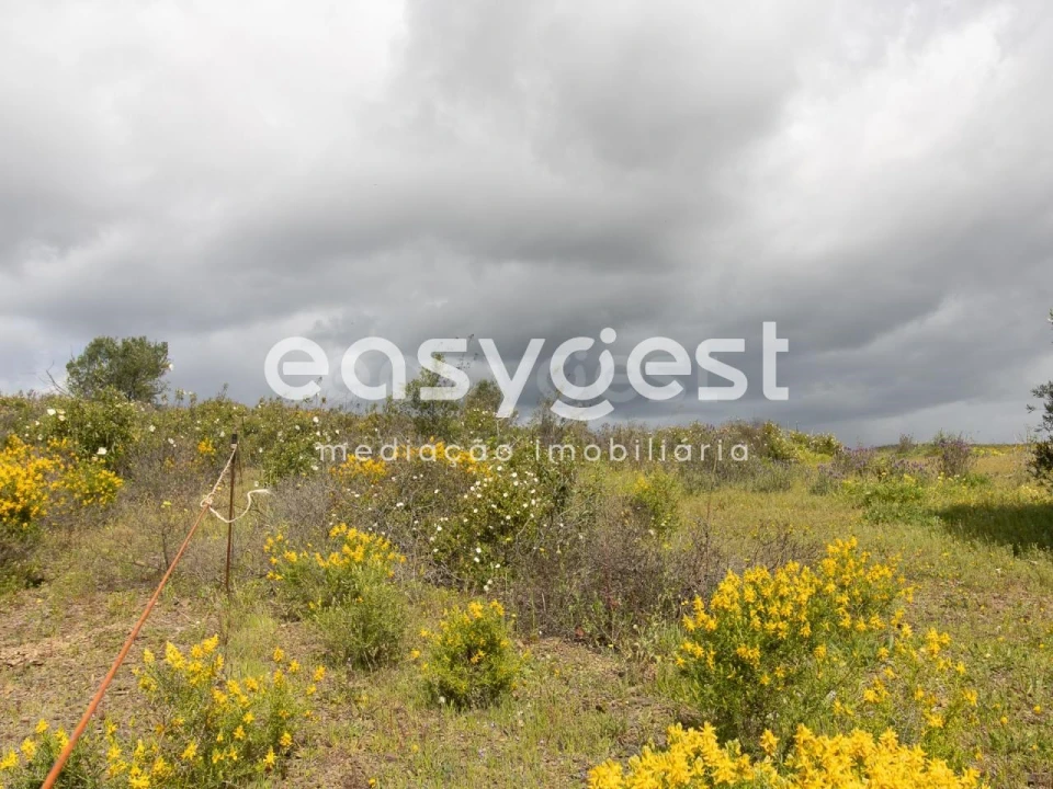 Terreno Agricola ou Rústico para Venda em Castro Marim Foto 11