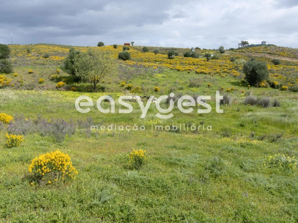 Terreno Agricola ou Rústico para Venda em Castro Marim Foto 14