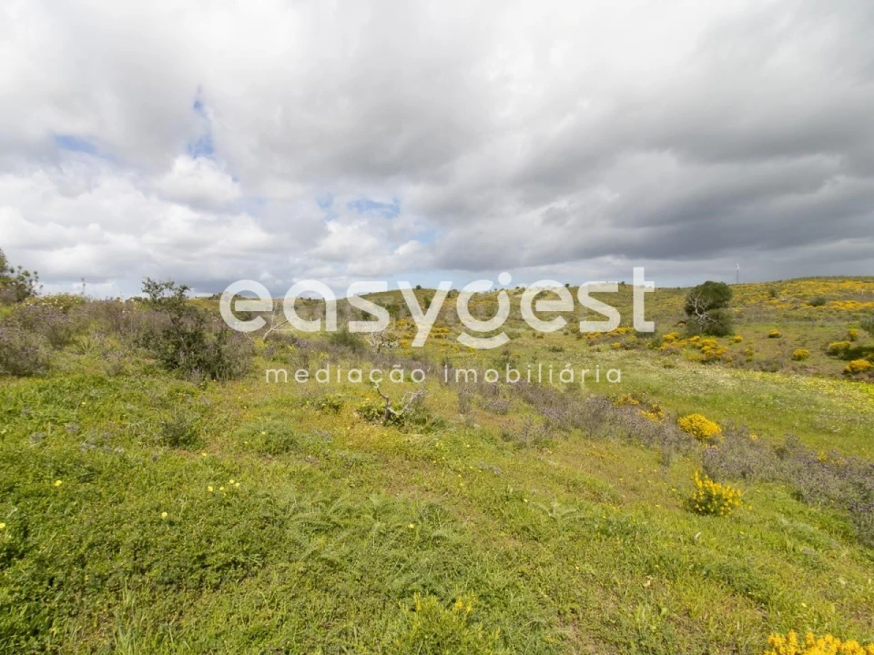 Terreno Agricola ou Rústico para Venda em Castro Marim Foto 15
