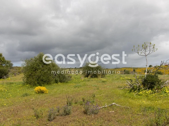 Terreno Agricola ou Rústico para Venda em Castro Marim Foto 7