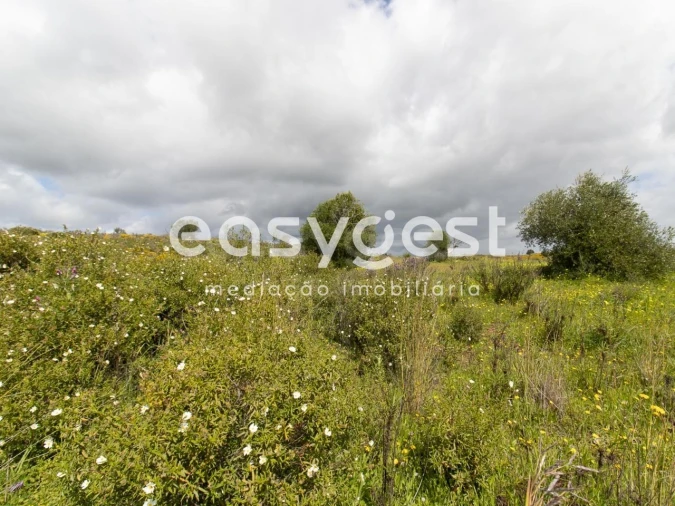 Terreno Agricola ou Rústico para Venda em Castro Marim Foto 10