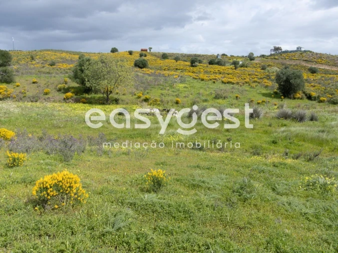 Terreno Agricola ou Rústico para Venda em Castro Marim Foto 14
