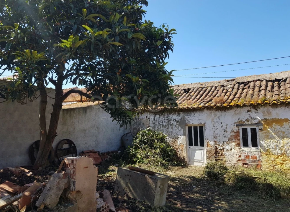 Moradia T2 para Venda em Vau Foto 4