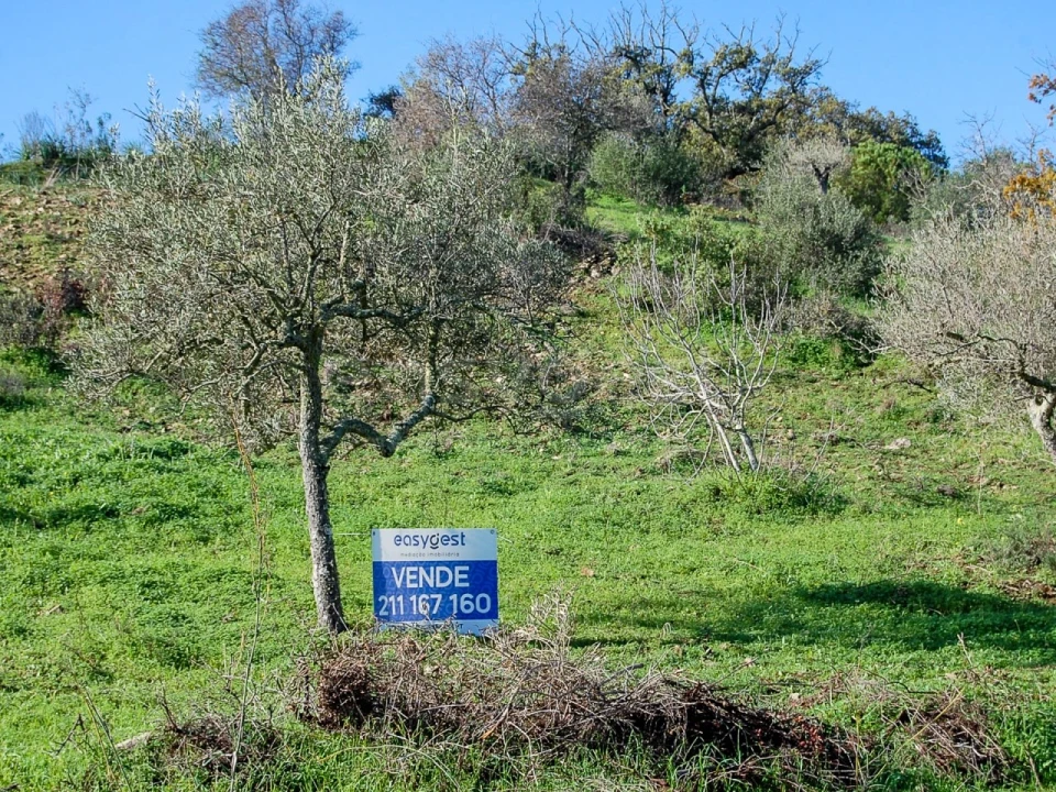 Terreno Agricola ou Rústico para Venda em Vaqueiros Foto 1