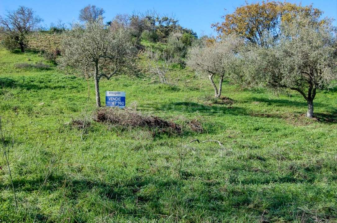 Terreno Agricola ou Rústico para Venda em Vaqueiros Foto 2