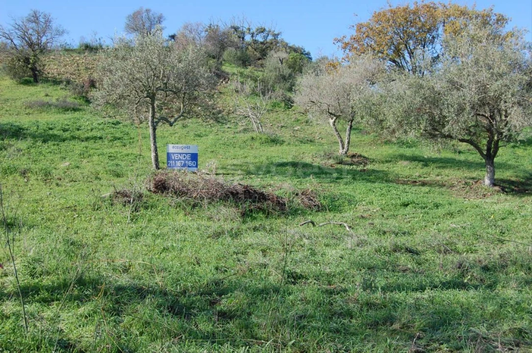Terreno Agricola ou Rústico para Venda em Vaqueiros Foto 5