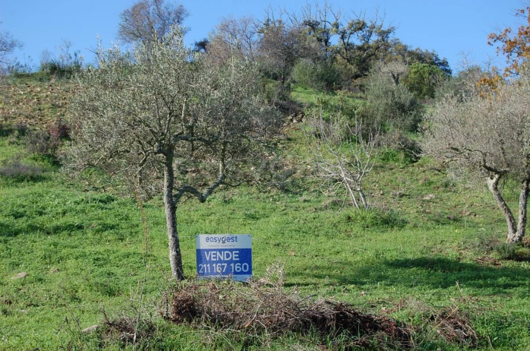 Terreno Agricola ou Rústico para Venda em Vaqueiros Foto 6